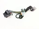 Other wiring loom