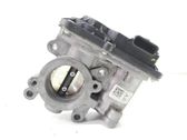 Throttle body valve