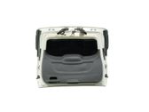 Tailgate/trunk/boot lid
