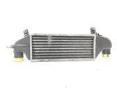Radiador intercooler