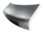 Tailgate/trunk/boot lid