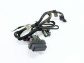 Other wiring loom