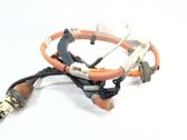 Other wiring loom