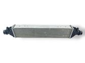Intercooler radiator