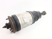 Rear shock absorber/damper