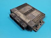 Engine control unit/module ECU