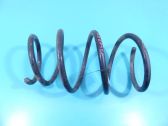 Front coil spring