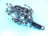 Front door wiring loom