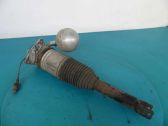 Rear shock absorber/damper
