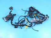 Other wiring loom