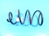 Front coil spring