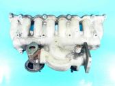 Colector de admisión