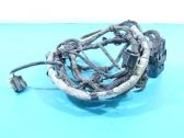 Other wiring loom