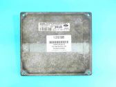 Engine control unit/module ECU