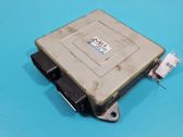 Engine control unit/module ECU
