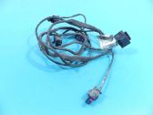 Tailgate/trunk wiring harness