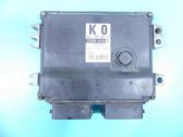 Engine control unit/module ECU