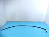 Roof trim bar molding cover