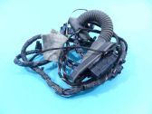 Rear door wiring loom