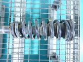 Front coil spring