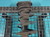 Front coil spring