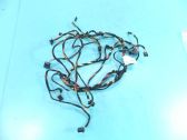 Other wiring loom