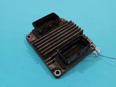 Engine control unit/module ECU