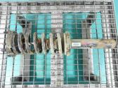 Front shock absorber/damper