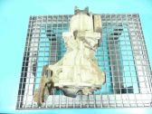 Rear differential