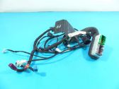 Front door wiring loom