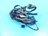 Other wiring loom