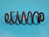 Rear coil spring