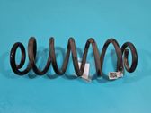 Rear coil spring