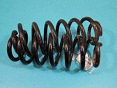 Muelle espiral trasero