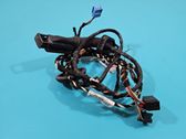 Front door wiring loom