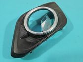 Front fog light trim/grill
