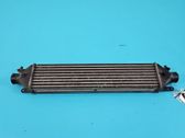 Intercooler radiator