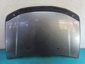 Capó/tapa del motor