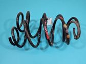Front coil spring