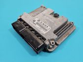 Engine control unit/module ECU