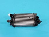 Intercooler radiator