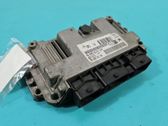Engine control unit/module ECU