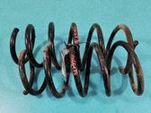 Front coil spring