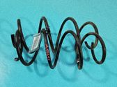 Front coil spring