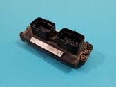 Engine control unit/module ECU
