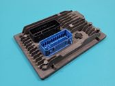 Engine control unit/module ECU