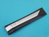 Rear door trim (molding)