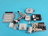 Engine control unit/module ECU