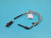 Abgastemperatursensor