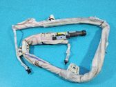 Airbag del techo